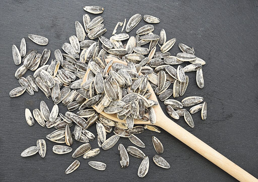 Salted Sunflower Seeds - Organic Food Supplier