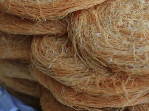 Pheni (Fried Vermicelli)