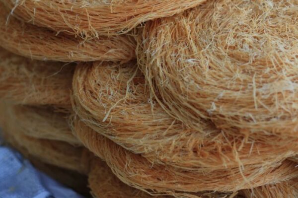 Pheni (Fried Vermicelli)