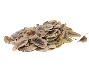 Senna Pods