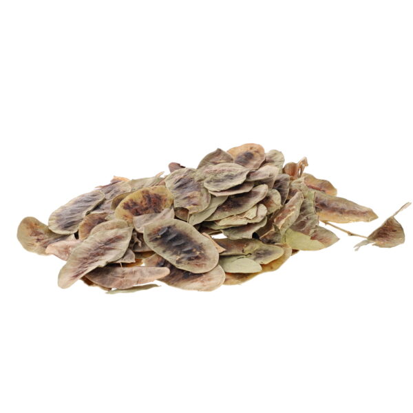 Senna Pods