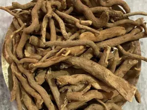 Organic  Sarpgandha Roots Indian Snakeroot Harkai Chandra Nakulkand
